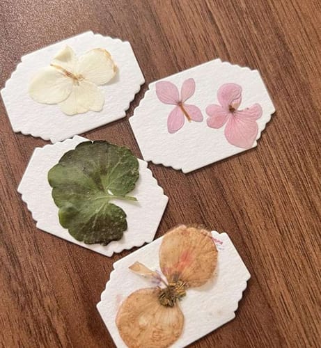 Pressed flowers from Priya M.